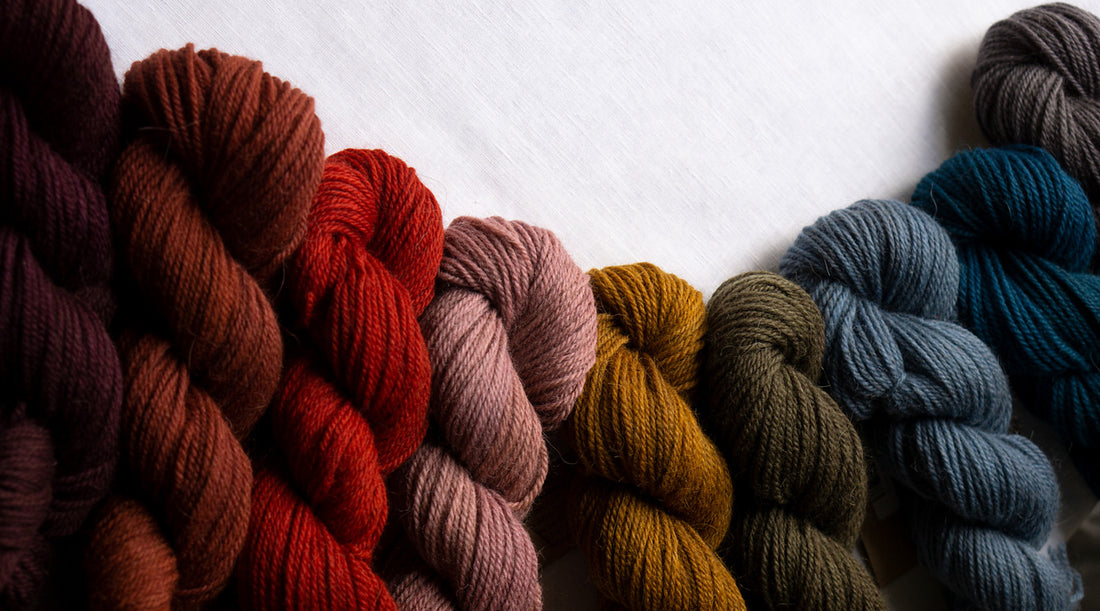 Unsung Hero: Alpaca Heather