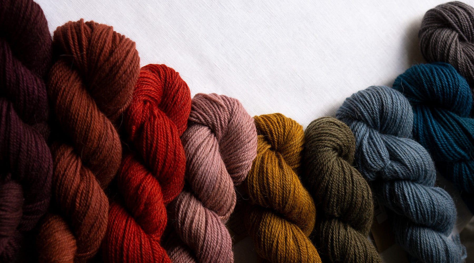 Unsung Hero: Alpaca Heather