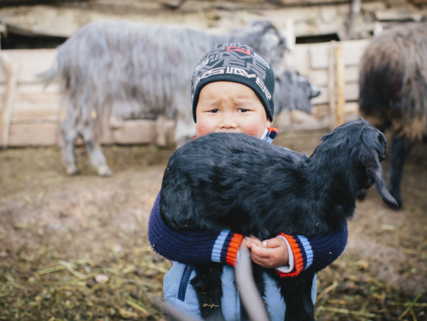 June Cashmere Trunk Show One Day Only!