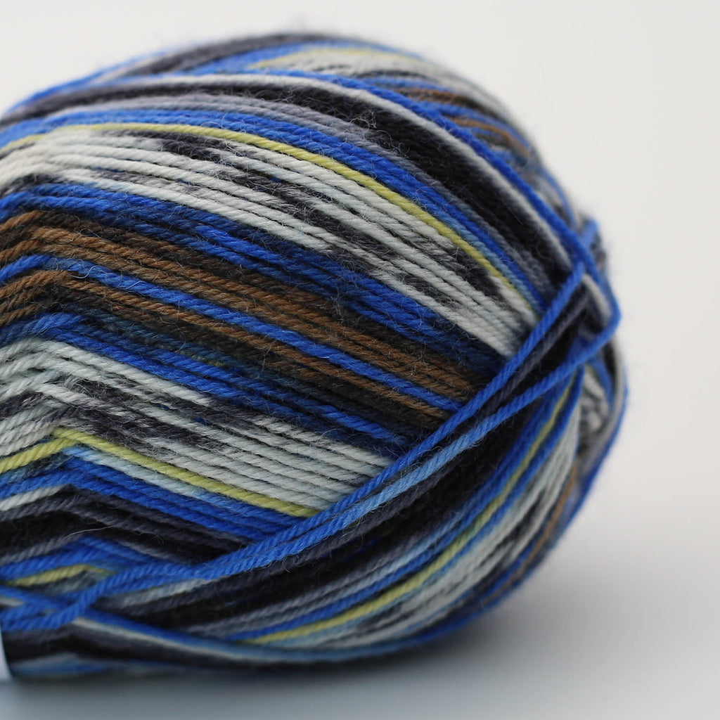 Arne & Carlos Socks & More 4ply