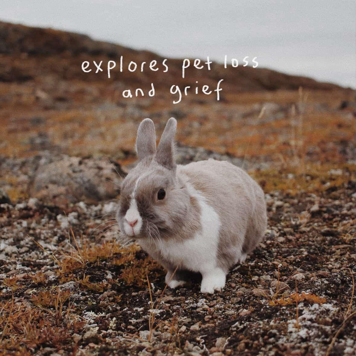 Pre-Order Saskie Knits