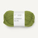 9564 Matcha