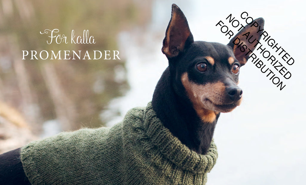 Knits for Dogs: Sweaters, Toys and Blankets for Your Furry Friend