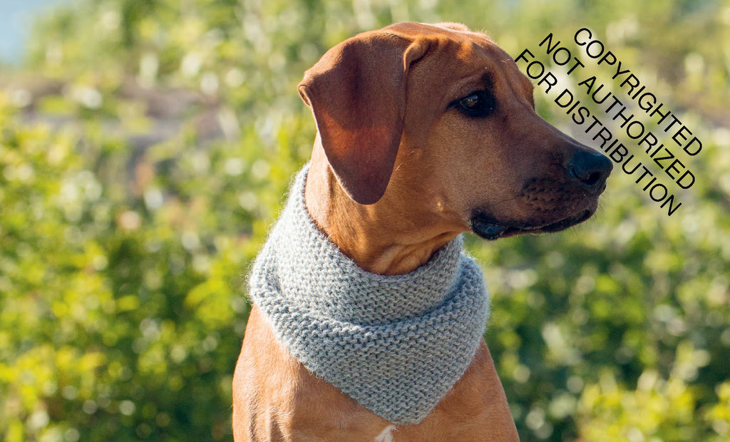 Knits for Dogs: Sweaters, Toys and Blankets for Your Furry Friend