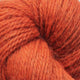Fox 008