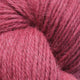 Rosehip 010