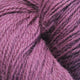 Blackcurrant 011
