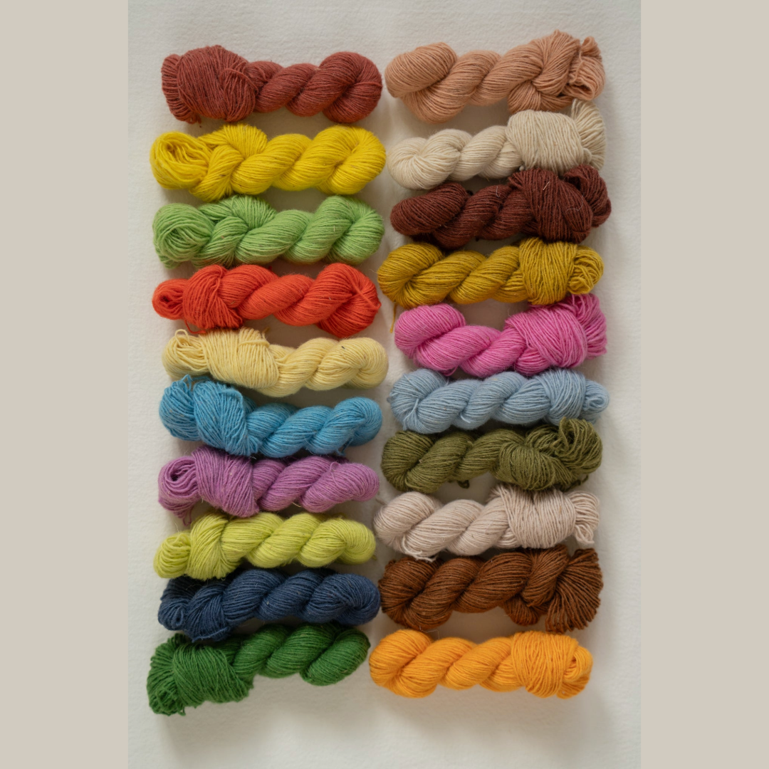 Cèdre Discovery Set