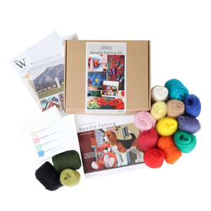 Needle Felting Starter Kit