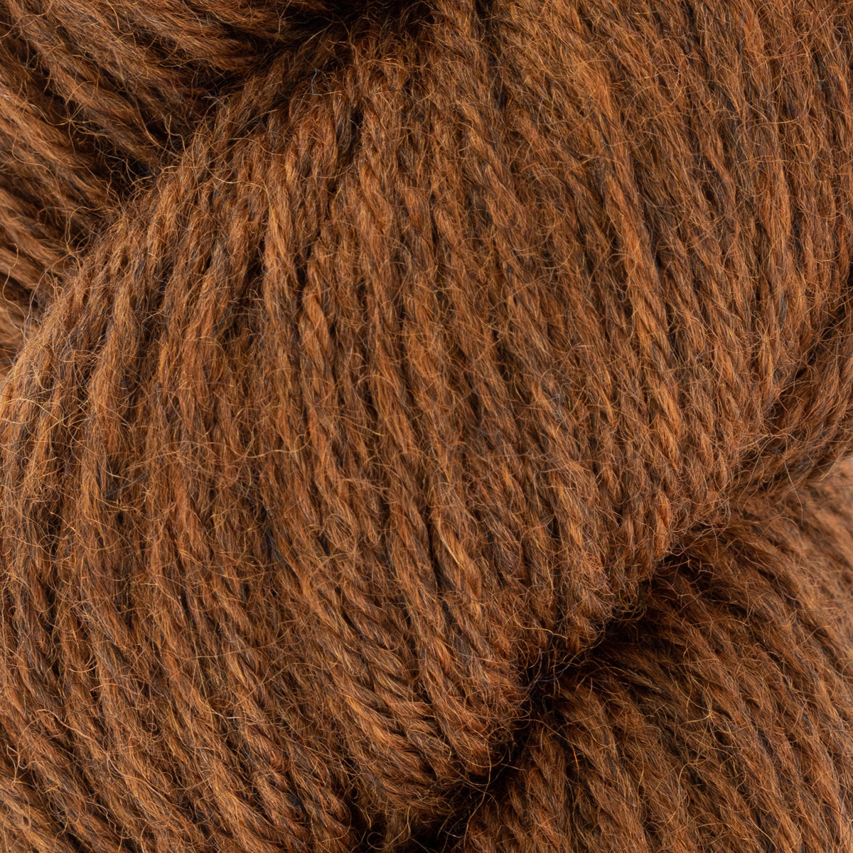 Fleece Bluefaced Leicester DK