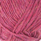 9969 Fuschia Heather
