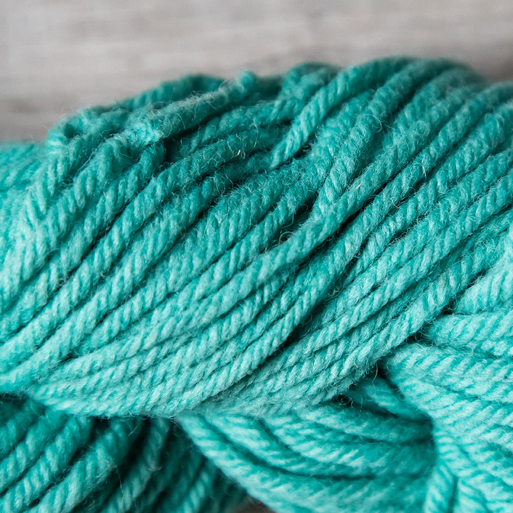 Briggs & Little Super